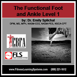 Functional Foot and Ankle: Level 1 Image